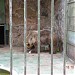 Zoologico de Salto  (es)