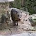 Zoologico de Salto  (es)