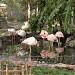 Zoologico de Salto  (es)