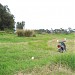Antigo Lixão  na Rolândia city