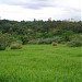 Antigo Lixão  na Rolândia city