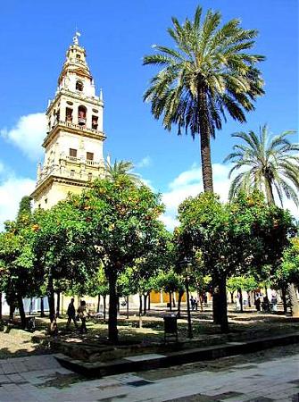 Courtyard Of The Orange Trees Patio De Los Naranjos Cordoba