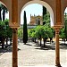 Patio de los Naranjos en la ciudad de Córdoba
