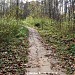 Дорожка от автобусной остановки к проходной ЦКБ № 2 им. Н. А. Семашко в городе Москва