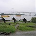 Anchor Field in Tokyo city