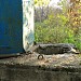Русло реки Чурилихи (Пономарки) в подземном коллекторе в городе Москва