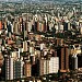 Bigorrilho na Curitiba city
