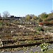 Jardin communautaire Tourne-Sol (fr) in Quebec City, Quebec city