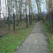 Остатки Шипиловского кладбища в городе Москва