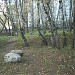 Остатки Шипиловского кладбища в городе Москва