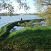 Садок в городе Москва