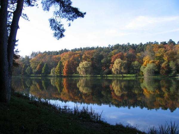 Dumbrava Zoo Lake Sibiu