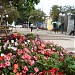 Calçadão na Cambé city