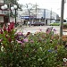 Calçadão na Cambé city