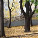Московский научно-практический центр медицинской реабилитации, восстановительной и спортивной медицины в городе Москва