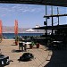 Barracuda in Eilat city