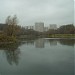 Большой Качаловский пруд в городе Москва