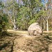 Glen Helen Nature Preserve in Yellow Springs, Ohio city