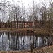 Пруд в городе Всеволожск