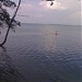 Lake Vištytis