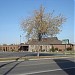Roma Club in Municipality of Leamington, Ontario city