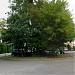 Szczecin, Osiedle Czechowicka in Szczecin city