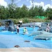Jacksonville Zoo Splash Park