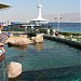 Coral World Underwater Observatory in Eilat city