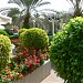 Isrotel Riviera Club 3* in Eilat city