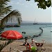 Dolphin Reef in Eilat city