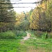 Сохранившийся участок Владимирской дороги (Владимирки) в городе Москва
