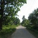 Здесь проходила Богучарская улица в посёлке Бутово в городе Москва