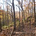 Glen Helen Nature Preserve in Yellow Springs, Ohio city