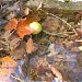 Glen Helen Nature Preserve in Yellow Springs, Ohio city