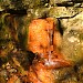 The Yellow Spring in Yellow Springs, Ohio city