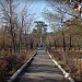 Сквер              в городе Жезказган