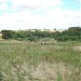 1ª Nascente do Ribeirão Amoreira na Rolândia city
