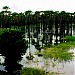 Lagoa de  Apodi