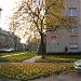NFZ - ośrodek terapii in Gdańsk city