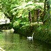 Parque Terra Nostra