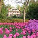 Sherwood Gardens in Baltimore, Maryland city