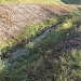 Сохранившаяся часть поймы Попова ручья в городе Москва