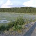 Прудки-отстойники (СТЗ) в городе Полевской