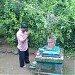 Palav