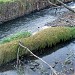 Островок на реке Чуре в городе Москва