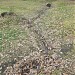 Ручей в городе Москва