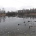 Красноярский пруд в городе Москва