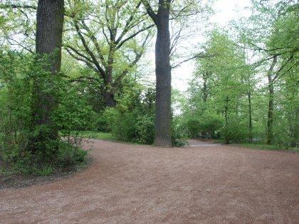 Fichtepark Dresden