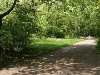 Fichtepark Dresden