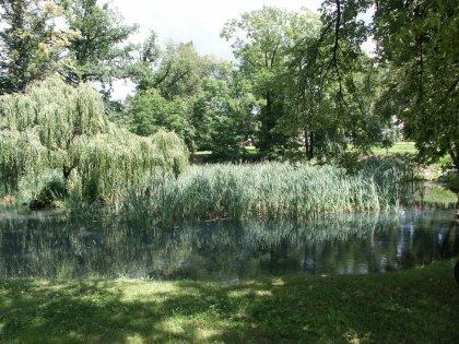 Teich im Gönnsdorfer Park Teich